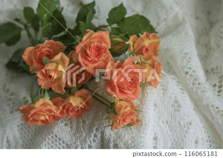 Orange mini-barra 116065181