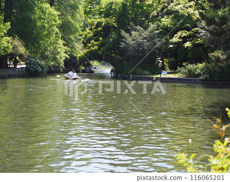 Shakujii公園 Shakujii公園 116065201