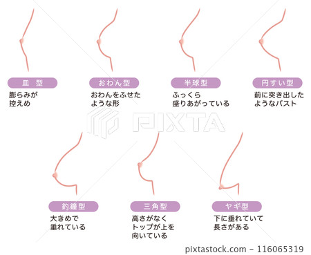 胸型類型 116065319