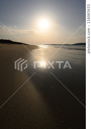 從沙灘看到的日落 116065633