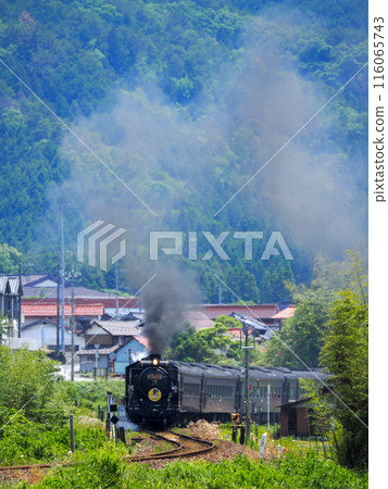 The Steam Locomotive Yamaguchi on the Tokusa Road in 2024 116065743