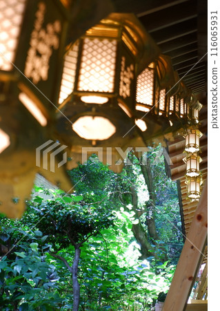 The hydrangea corridor lights at Yokokuji Temple in Kyoto The hydrangea corridor lights at Yokokuji Temple in Kyoto 116065931