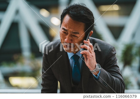 商務人士 商人 男性白領 116066379