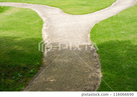 Two separate paths in the park 116066690