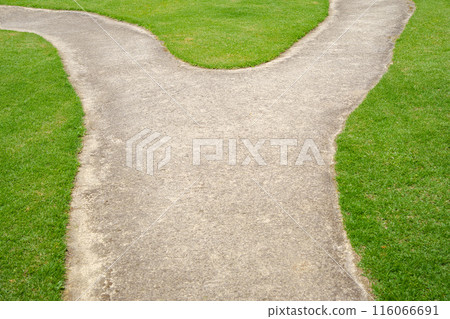 The split road 116066691