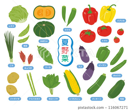 Simple vegetable illustration set Simple vegetable illustration set 116067271