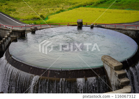 Rice fields and water division circle 5 in Uozu City 116067312