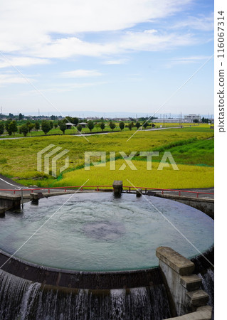 Rice fields and water division circle 7 in Uozu City Rice fields and water division circle 7 in Uozu City 116067314