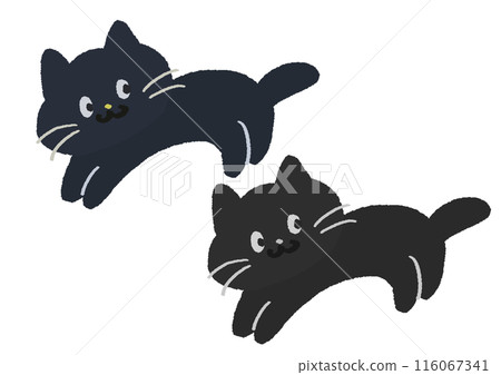 Hand drawn illustration of a cute black cat 116067341