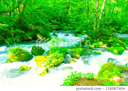 Oirase stream of early summer Oirase stream of early summer 116067404