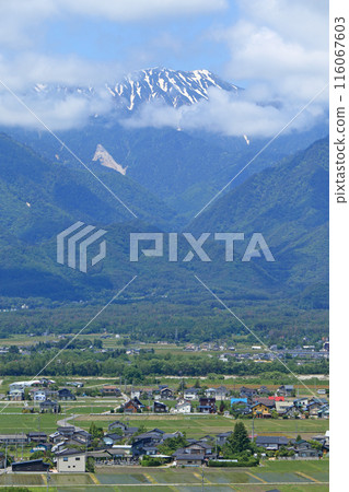 初夏的安曇野、鄉村和北阿爾卑斯山 初夏的安曇野、鄉村和北阿爾卑斯山 116067603