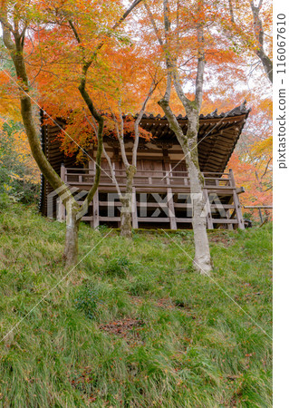 京都市右京區佐賀愛宕念佛寺(1,200羅漢寺)、地藏殿及秋葉 京都市右京區佐賀愛宕念佛寺(1,200羅漢寺)、地藏殿及秋葉 116067610