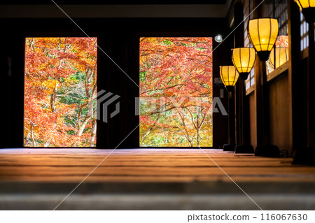 View of autumn leaves from the main hall at Otagi Nenbutsu-ji Temple (Temple of 1,200 Arhats) in Saga, Ukyo Ward, Kyoto City 116067630