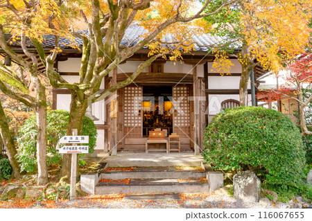 Autumn leaves at the main hall of Adashino Nenbutsu-ji Temple in Saga, Sakyo Ward, Kyoto City 116067655