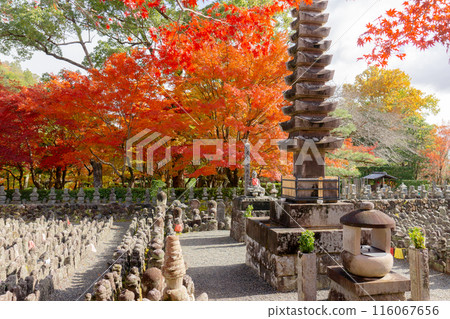Adashino Nenbutsu-ji Temple in Saga, Sakyo Ward, Kyoto City - The riverbank of Saiin and autumn leaves Adashino Nenbutsu-ji Temple in Saga, Sakyo Ward, Kyoto City - The riverbank of Saiin and autumn leaves 116067656