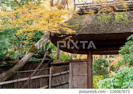 Autumn leaves at the mountain gate of Gion-ji Temple (Ojo-in Nunnery) in Saga, Ukyo Ward, Kyoto City 116067672