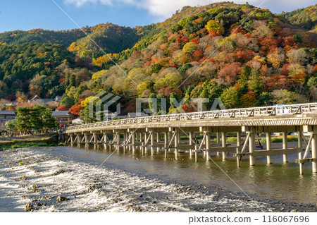 京都市右京區、佐賀天龍寺、嵐山、渡月橋、桂川、秋葉 116067696
