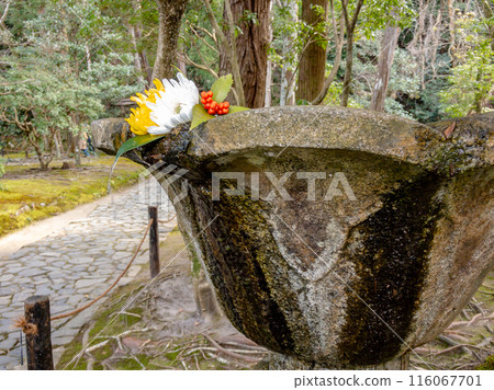京都市左京區東山法然院院內的洗花 京都市左京區東山法然院院內的洗花 116067701