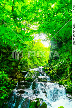 Oirase stream Falls in Yunii 116067709