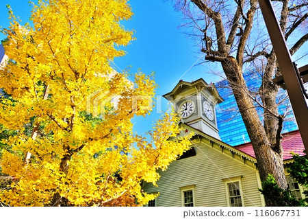 Autumn scenery of Sapporo Clock Tower Autumn scenery of Sapporo Clock Tower 116067731