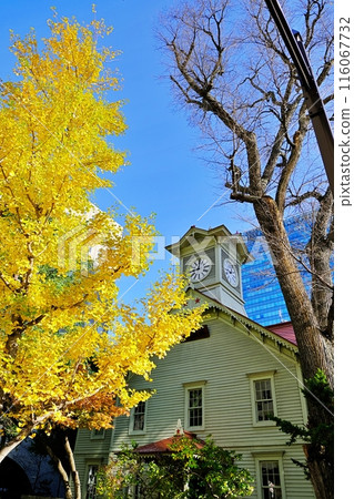 Autumn scenery of Sapporo Clock Tower Autumn scenery of Sapporo Clock Tower 116067732