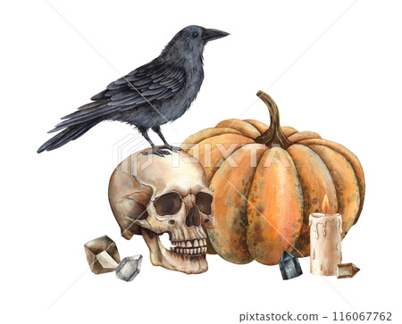 Pumpkin in shades of orange, realistic human skull, black raven, wax candle and crystals. Watercolor illustration in gothic style. Suitable for Halloween and autumn theme designs, cards, posters 116067762
