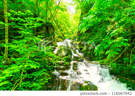 垂直素材 奧入瀨溪流 雲井瀑布 116067942