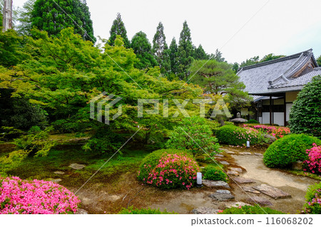 Unryu-in Temple Garden Unryu-in Temple Garden 116068202