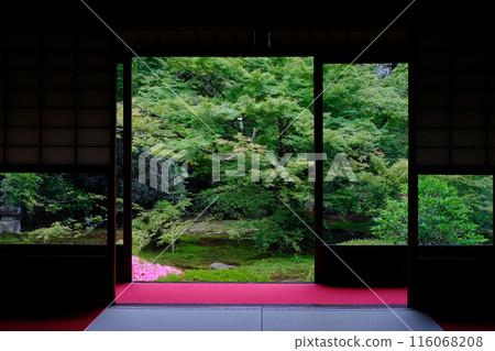 Garden of the Yodoin 116068208