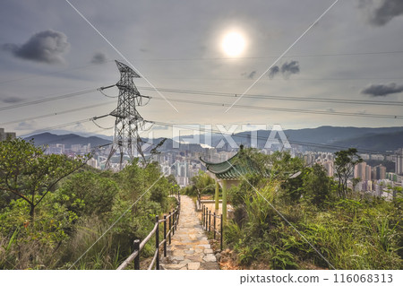 Scenic Views at Kam Shan Country Park June 25 2021 Scenic Views at Kam Shan Country Park June 25 2021 116068313
