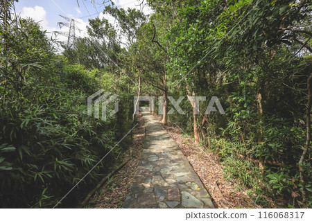 Scenic Views at Kam Shan Country Park June 25 2021 116068317