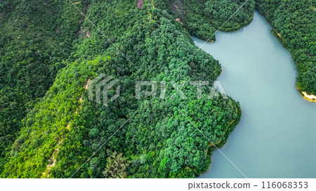 Scenic Views at Kam Shan Country Park June 25 2021 116068353