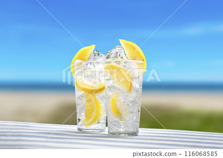 海灘上的檸檬酸 116068585