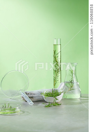 The photo of tea tree cosmetic researching in laboratory, was taken from front angle over green background. Empty stone podium placed on the lab countertop, beside it is a lab tools and fresh tea tree The photo of tea tree cosmetic researching in laboratory, was taken from front angle over green background. Empty stone podium placed on the lab countertop, beside it is a lab tools and fresh tea tree 116068858