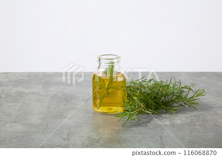 Front close up photo on white background, a glass bottle displayed on a gray countertop, containing yellow liquid of tea tree oil and some small tea tree branches in, next to a bush of tea tree 116068870