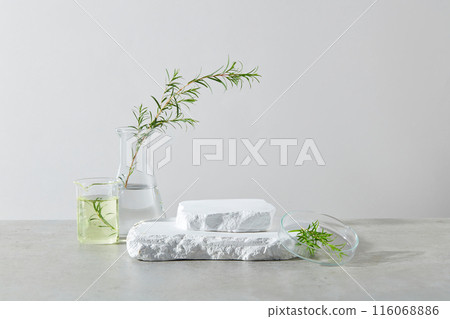 An empty podium of two plaster pedestals placed on each other in the center, on both sides decorated by a few laboratory glassware contain tea tree plants in. Space for product displaying, front view An empty podium of two plaster pedestals placed on each other in the center, on both sides decorated by a few laboratory glassware contain tea tree plants in. Space for product displaying, front view 116068886