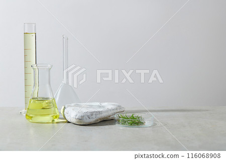 The photo of white background, on the left side of white table has a set of lab glassware, beside it is an empty rock platform and a petri dish containing green tea tree. Copy space, front view 116068908
