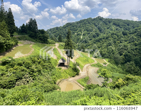 Yamakoshi Tanada Yamakoshi Tanada 116068947