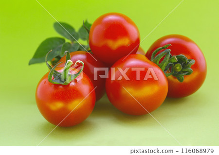 Cherry tomatoes on a green background Cherry tomatoes on a green background 116068979