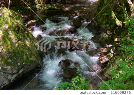 [Aragusuku] A mountain stream flowing through rocky areas 116069276
