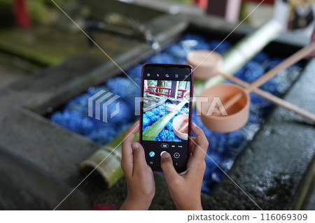 Washing with a ladle at the chozuya (purification fountain) 2 116069309