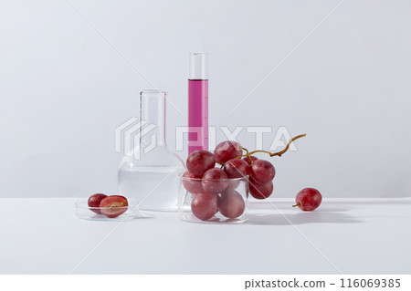 Front view photo with purple grape in lab scene, against white background. A glass beaker contains fresh grape bunch with a purple liquid measuring cylinder and a boiling flask placed in back Front view photo with purple grape in lab scene, against white background. A glass beaker contains fresh grape bunch with a purple liquid measuring cylinder and a boiling flask placed in back 116069385