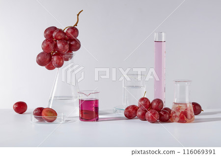 White background featuring several types of lab glassware consist of erlenmeyer flask, beaker, petri dish and measuring cylinder with fresh grape and grape seed extract. Empty space for advertising White background featuring several types of lab glassware consist of erlenmeyer flask, beaker, petri dish and measuring cylinder with fresh grape and grape seed extract. Empty space for advertising 116069391