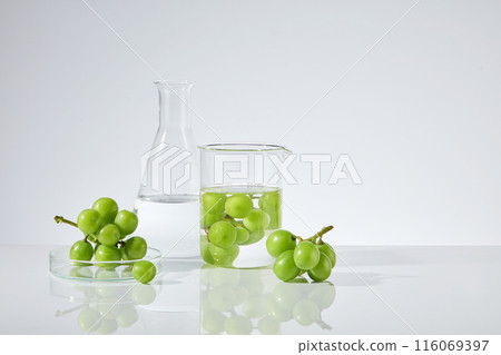 Minimalist style photo with green color grape standing out on white background, which contained in a few laboratory equipments consist of erlenmeyer flask, beaker and petri dish. Copy space for text 116069397