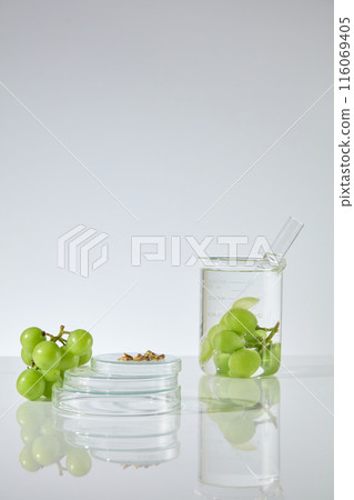 A glass beaker containing fresh green grape soaked in transparent liquid and a test tube, next to a blank glass podium, decorated with some grape seed and a bunch of grape . Copy space, front view 116069405