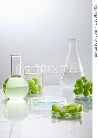 Photo for promote product made from grape or grape seed with laboratory layout. Grape seed has beneficial antioxidants that may help relieve stress, inflammation, and tissue damage Photo for promote product made from grape or grape seed with laboratory layout. Grape seed has beneficial antioxidants that may help relieve stress, inflammation, and tissue damage 116069408