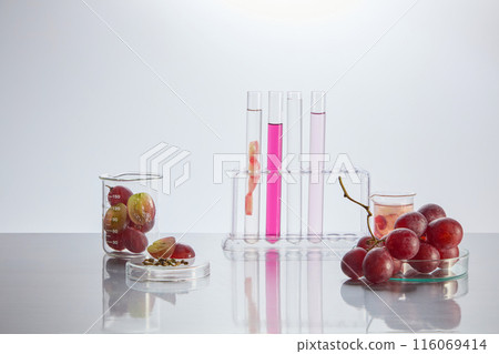 Fresh grape and extract of grape seed contained in laboratory glassware, which displayed on the white table top. Photo of front angle, empty space for promotional and adding designing elements Fresh grape and extract of grape seed contained in laboratory glassware, which displayed on the white table top. Photo of front angle, empty space for promotional and adding designing elements 116069414