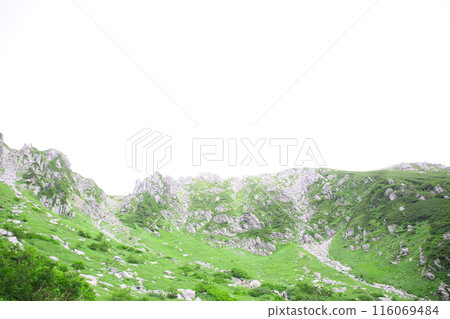 駒岳，八月中央阿爾卑斯山的背景 116069484