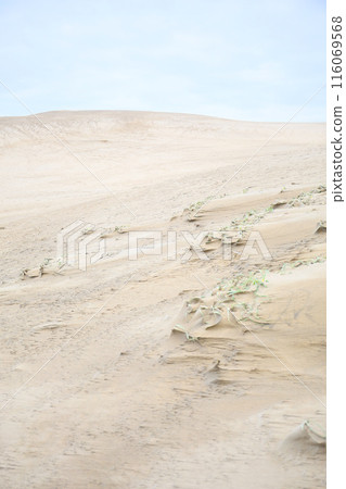 鳥取沙丘，日出時間 116069568