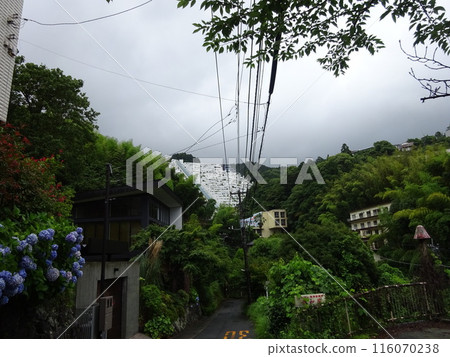 Mountain scenery of Atami city 116070238
